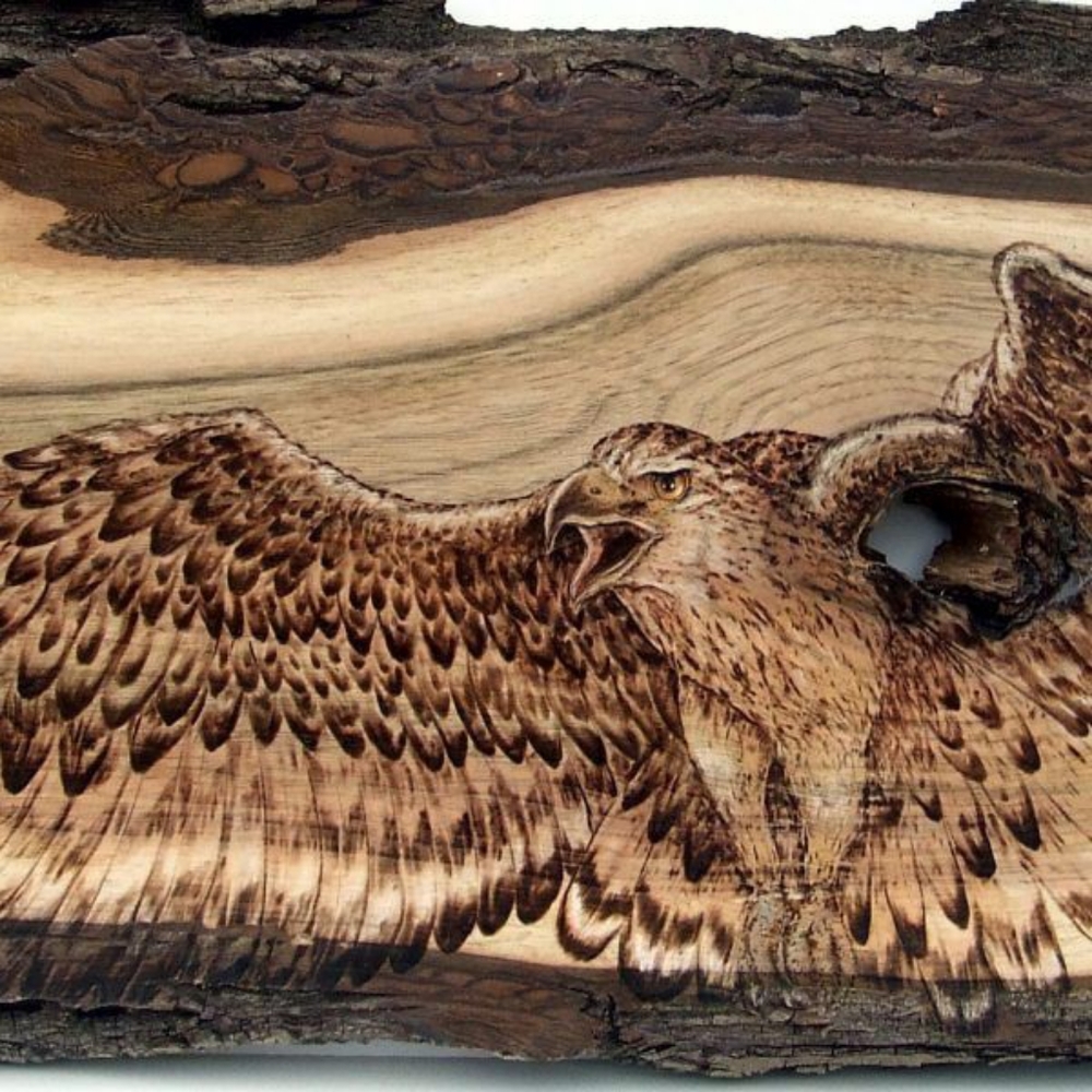 wood pyrography eagle - Picture 2 of 4